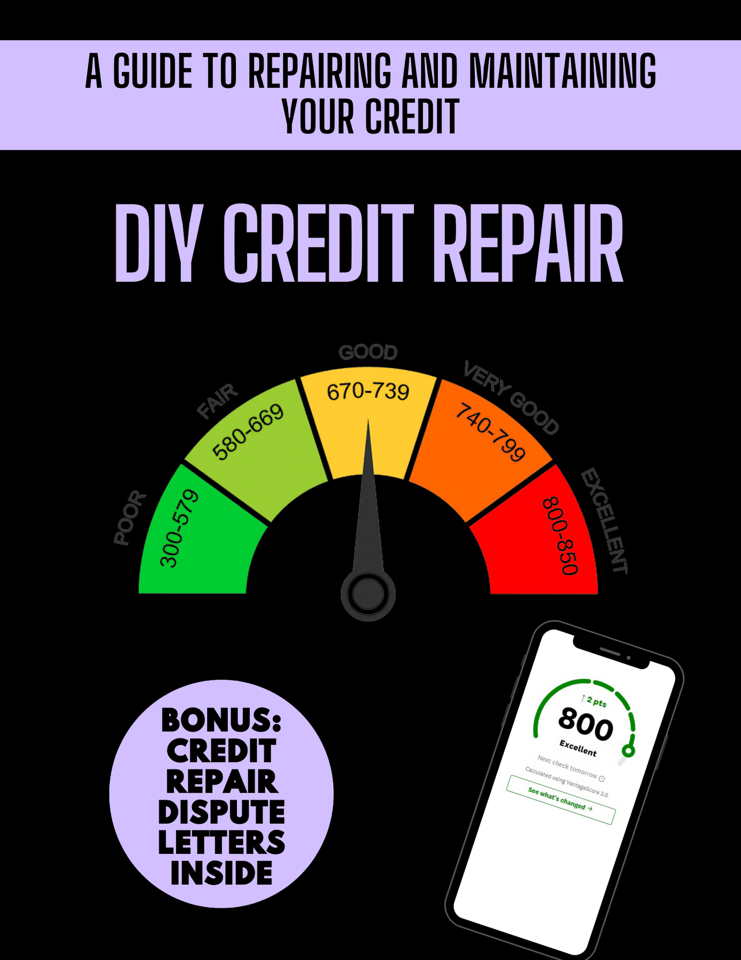 DIY Credit Repair E-book