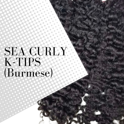 SEA Curly K-tips